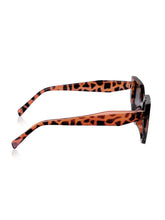 Celebrity Full Rim Brown Plastic Frame With Grey UV Protected Lens Other Sunglasses for Women_9269-3