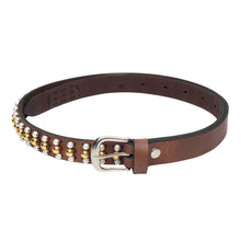 Sandy D Carter Women Brown Synthetic Leather Waist Belt for Jeans & Formal Paint SDC-23-08-BR