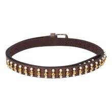 Sandy D Carter Women Brown Synthetic Leather Waist Belt for Jeans & Formal Paint SDC-23-08-BR