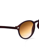 Celebrity Brown Oval Plastic Sunglasses For Men CLSN25-8121-02